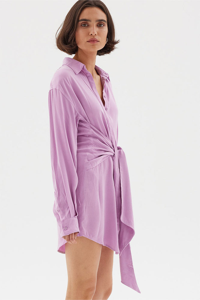 
                      
                        ISLA SHIRT DRESS - MUSK
                      
                    